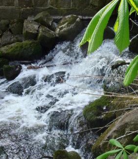 Nederby Bed & Breakfast | Lillemøllens bed & breakfast