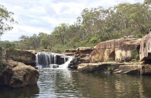 Balmoral Cabin | Lillyfield bush retreat