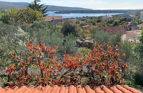 Kornic House | Lily mediterranean apartments with a sea view & heated shared pool