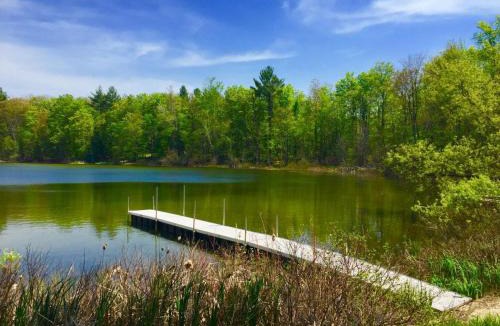 Lake Ann House | Lily Pad Cove