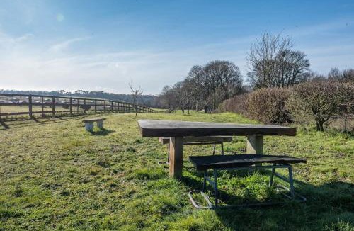 Saxmundham House | Lily Pad, Friston