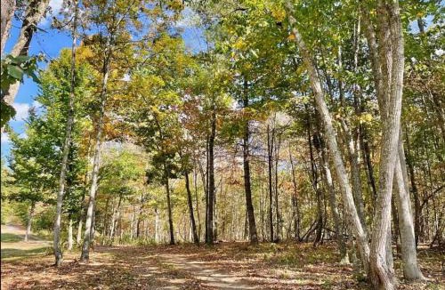 Nimitz Apartment | Lily Pad Hideaway on 19 Acres