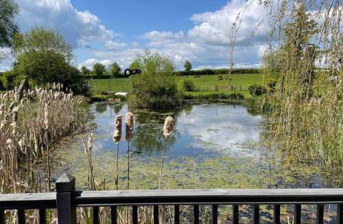 Pitchcombe Ski Chalet | Lily pad Lodge