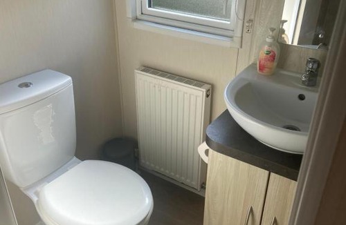 Newquay Other | Lily’s pad