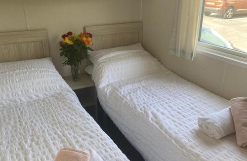 Newquay Other | Lily’s pad