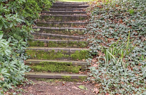 Pevensey Cottage | Lilyrose Cottage