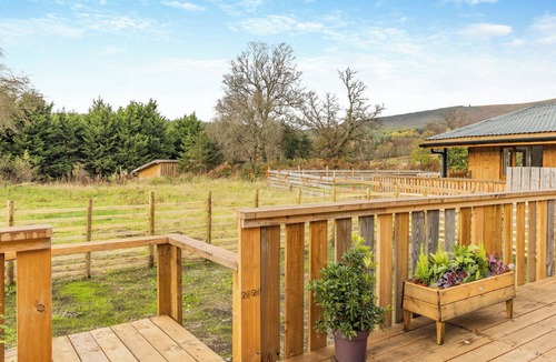 Llandrindod Wells Cottage | Lime Lodge - UK42547