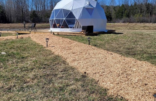 Oxford Station Apartment | Limerick Forest Retreat | Luxury Camping Geodome