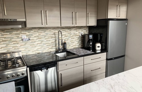 Sheffield Neighbors Apartment | Lincoln Park Light Filled Loft