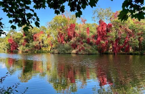 Goring Apartment | Linden Suite