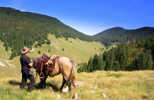 Velika Plana Apartment | Linden Tree Retreat & Ranch