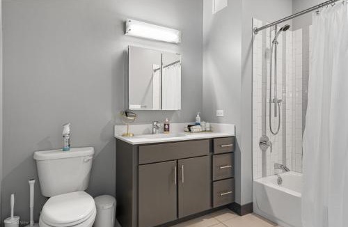 Downtown Chicago Apartment | Linea Luxury Living with Indoor Pool and Rooftop Views in The Loop