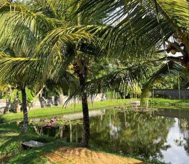 Airmadidi House | Liontree Villa