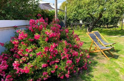 Liseleje Hotel | Liseleje Badehotel