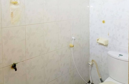 Karimunjava Hotel | Lishafa Homestay