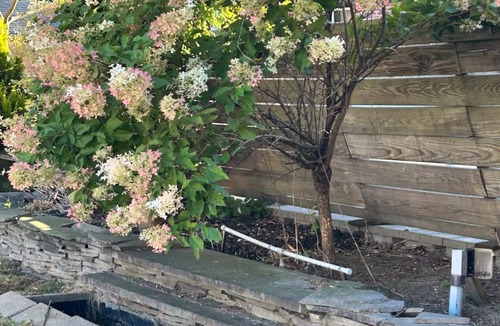 Torrington House | Litchfield Retreat, Wineries, Foliage & Skiing