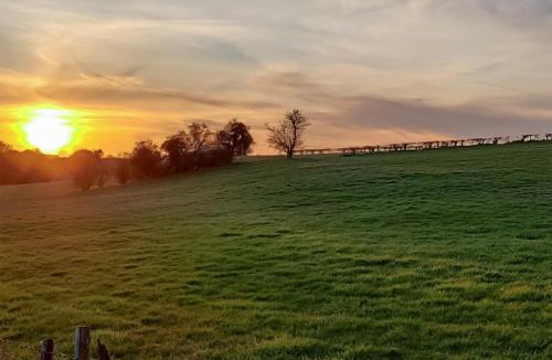 Chute Forest House | Litet Hem