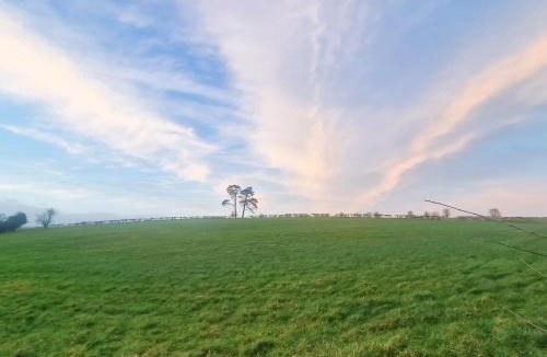 Chute Forest House | Litet Hem