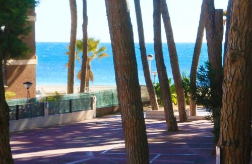Cambrils Apartment | LITORAL COSTA DORADA - PINS i MAR Only families
