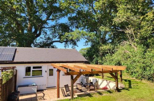 New Forest District Apartment | Little Apples