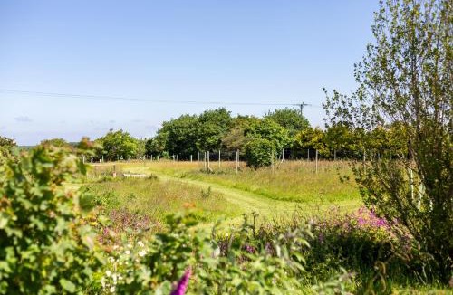Penryn House | Little Avalon, a traditional Cornish cottage for couples with modern comforts