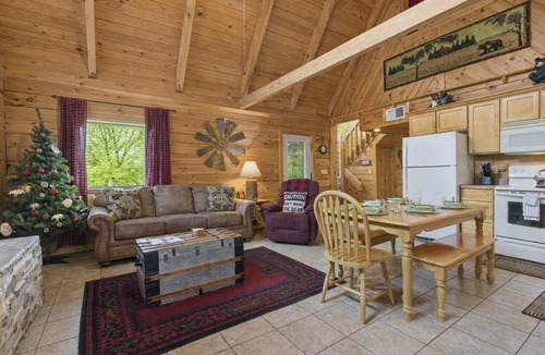 Branson Cedars Cabin | Little Bear Cabin Hot Tub Near Thunder Ridge Sleeps 6