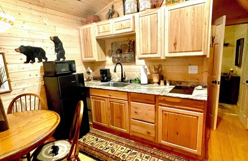 Cosby Cabin | Little Bear Tiny Cabin in The Forest