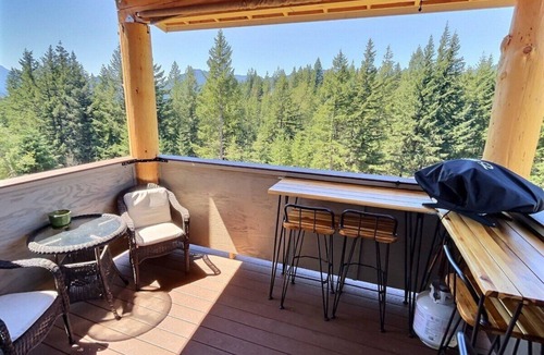 Packwood Apartment | Little Big Fish | Wifi, BBQ, AC ,Rainier View