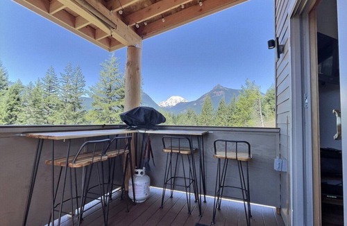 Packwood Apartment | Little Big Fish | Wifi, BBQ, AC ,Rainier View