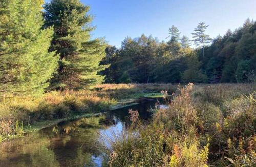 Sparrow Bush Ski Chalet | Little Birds Treehouse