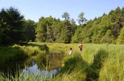 Sparrow Bush Ski Chalet | Little Birds Treehouse