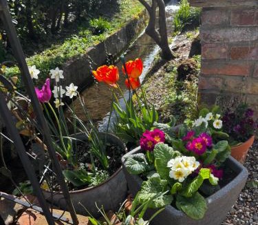 Great Leighs House | Little Brook Retreat