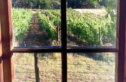 Philomath Cabin | Little Cabin at Wren Vineyard