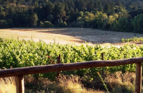 Philomath Cabin | Little Cabin at Wren Vineyard