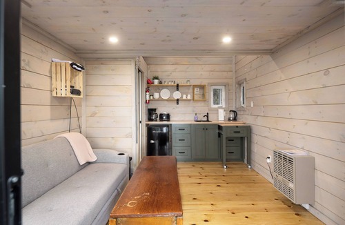 Desboro Cabin | Little Cabin in the Pines