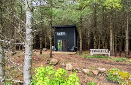 Desboro Cabin | Little Cabin in the Pines
