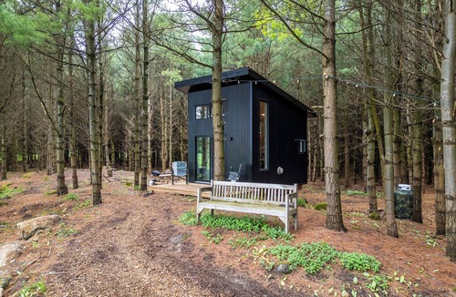 Desboro Cabin | Little Cabin in the Pines