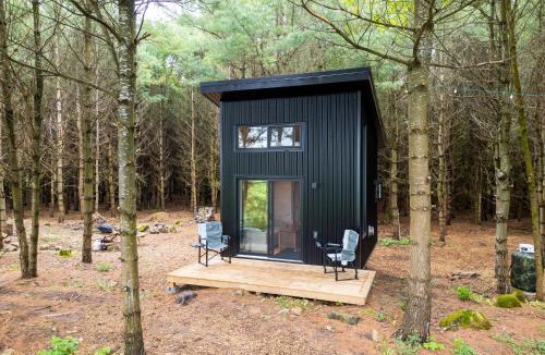 Desboro House | Little Cabin in the Pines