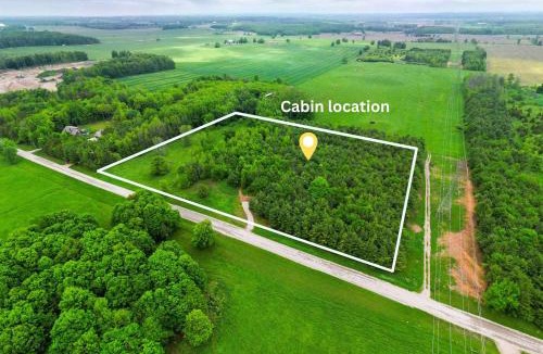 Desboro House | Little Cabin in the Pines