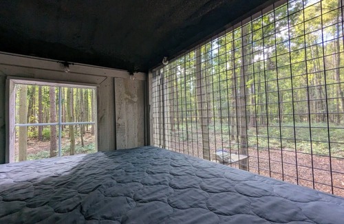 Delhi Cabin | Little Can in the Pines - Bunkie No. 2
