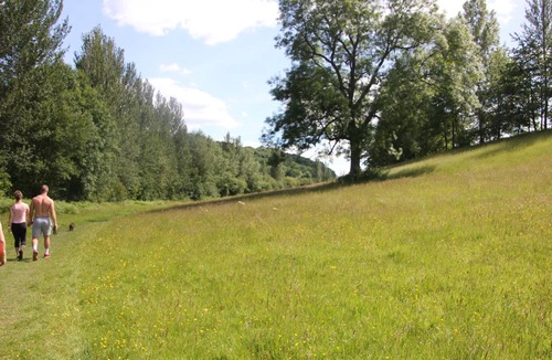 Billingsley House | Little Elm