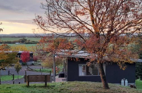 Feilding Ski Chalet | Little Forest Cabins No 3