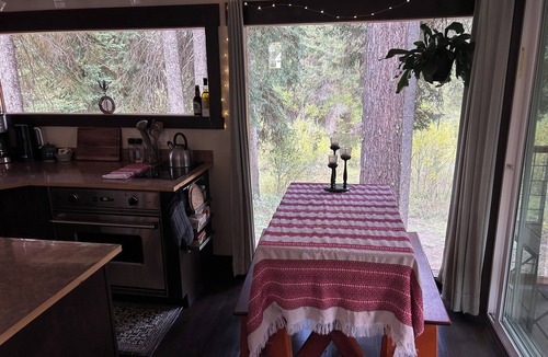 McCall Apartment | Little Gem - Pet Friendly Riverfront Studio