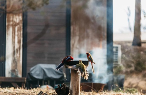 Yarck House | Little Glenny