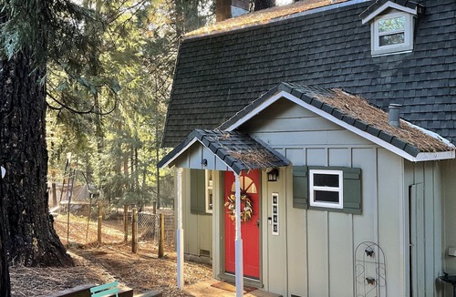 Placerville Cabin | Little Green Cabin by Apple Hill/Sly Park/Wineries/Tahoe/Hiking