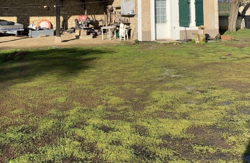 Brion-pres-Thouet Cottage | Little house