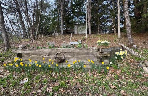 Salem House | Little House on the River