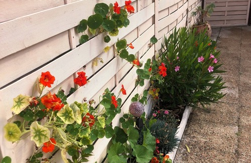 Salbris House | Little house solognote