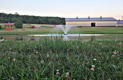 Town of Sempronius Cabin | Little House @ Turn Back Time