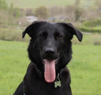 Walcote Bed & Breakfast | Little Lodge B&B Lutterworth